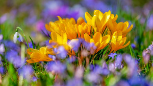 Kreuz & Quer am 22. März: Frühlingserwachen