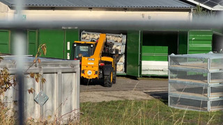 Vogelgrippe breitet sich aus: 130.000 Tiere müssen getötet werden