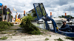 So wird die Wasserpest im Schiersteiner Hafen bekämpft