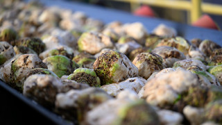 Klebrige Straße in Bayern: Laster verliert Zuckermelasse