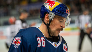 Kassel Huskies verpflichten Seidenberg - Pantkowski bleibt in Köln