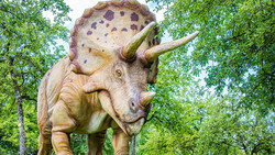 Saurier-Abenteuer im Mannheimer Museum