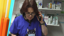 Nordseeinsel Föhr: Tierärztin Janine im Einsatz