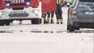 Tiger-Ausbruch in Schkeuditz: Helfer schwer verletzt – Tier erschossen