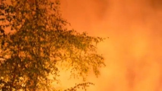 Niederlande: Brand in Naturgebiet noch nicht unter Kontrolle