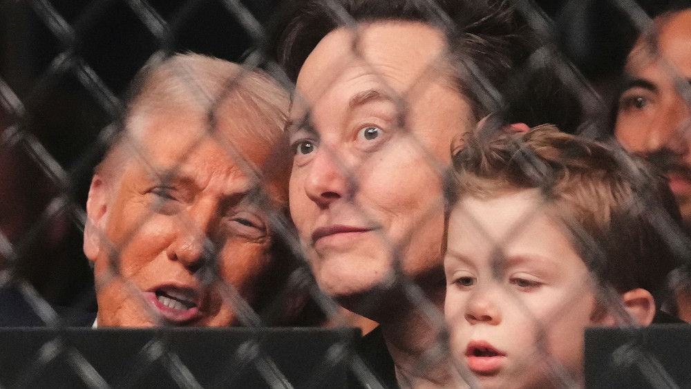 Trump und Musk mit Sohn beim Ultimate Fighting