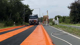 Trebur: Weiterer Fall von Schweinepest im Kreis Groß-Gerau