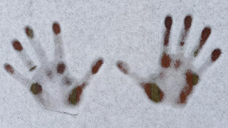 Kälte-Mythen: Vitamin C & Dünne Personen frieren