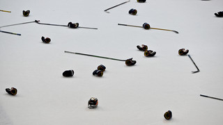 Eishockey: Löwen Frankfurt gewinnen, Kassel und Bad Nauheim verlieren