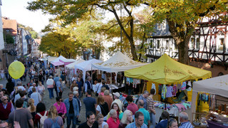Elisabethmarkt in Marburg: Regionales, Handgemachtes, Entenrennen