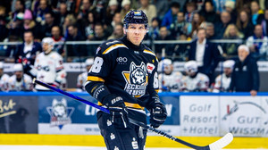 Hessenderby in der DEL2: Bad Nauheim zu Gast in Kassel