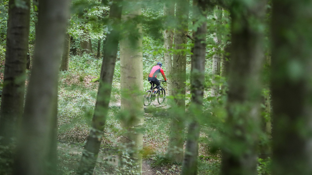 Ein Fahrradfahrer ist in Mühltal im Landkreis Darmstadt-Dieburg unterhalb der Burg Frankenstein im Wald unterwegs.