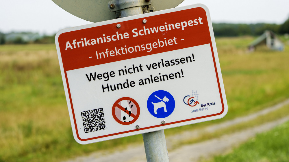 Warnschild Afrikanische Schweinepest 