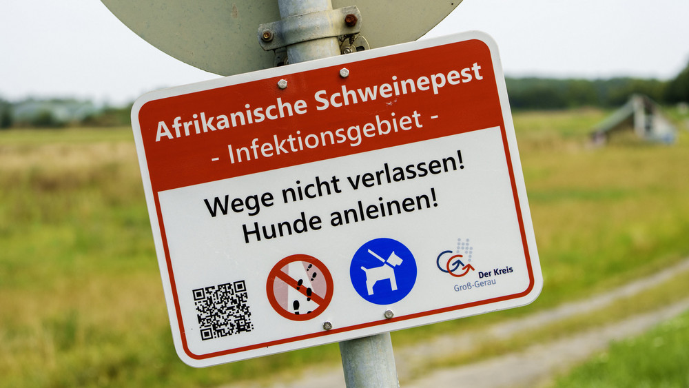 Warnschild Afrikanische Schweinepest 