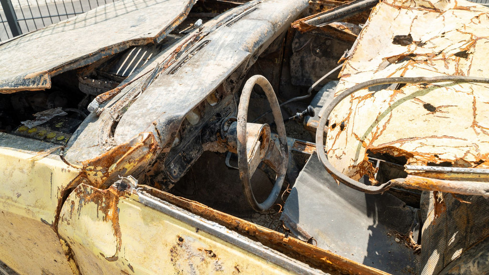Manta-Wrack aus der Donau