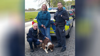 Hündin verirrt sich auf A45: Polizei bringt das Tier nach Hause