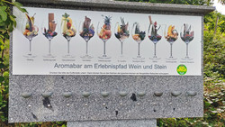 Wein-Aromabar: Wein riechen an der Bergstraße