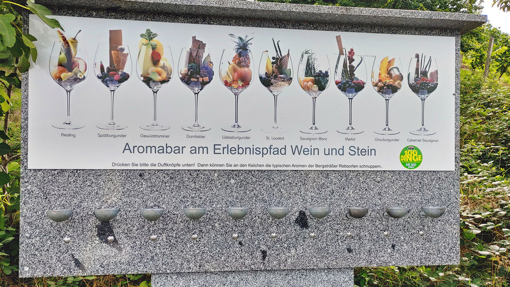 Wein-Aromabar: Wein riechen an der Bergstraße