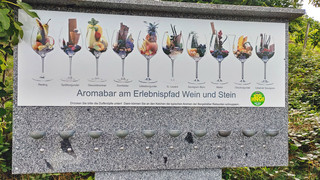 Wein-Aromabar: Wein riechen an der Bergstraße