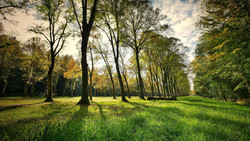 Tanz im Park in Fulda
