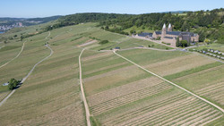 Vinothon im Rheingau will Sport und Genuss verbinden