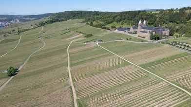 Vinothon im Rheingau will Sport und Genuss verbinden