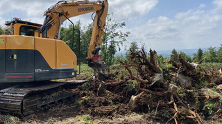 Baustopp aufgehoben: Teilerfolg für Windpark Reinhardswald