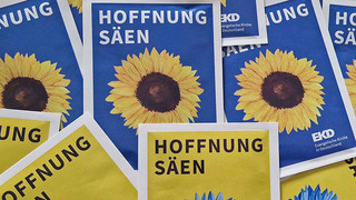 Kreuz & Quer am 5. Februar: Blumensamen für die Ukraine