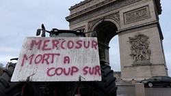 Hunderte Landwirte protestieren in Paris gegen EU-Mercosur-Abkommen und Billigimporte