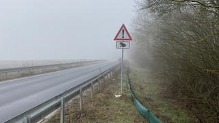 Naturschutzbund Wetterau rettet wieder Kröten
