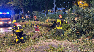Hessen: Hunderte Sturm-Einsätze der Feuerwehr - Probleme bei der Bahn