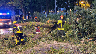 Hessen: Hunderte Sturm-Einsätze der Feuerwehr - Probleme bei der Bahn