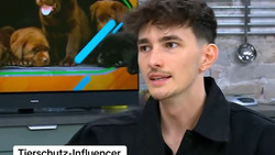 Hundetötung in Rumänien 😓