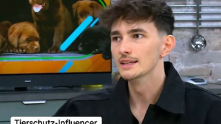 Hundetötung in Rumänien 😓