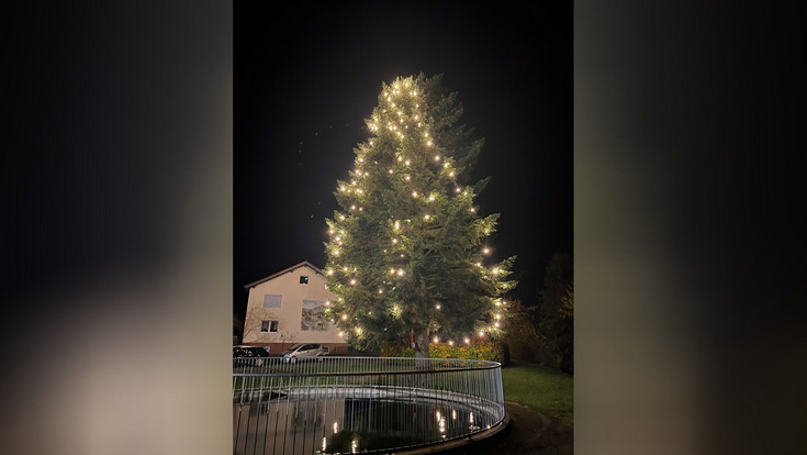 Steht in Flieden Osthessens größter Weihnachtsbaum?