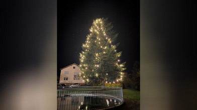 Steht in Flieden Hessens größter Weihnachtsbaum?