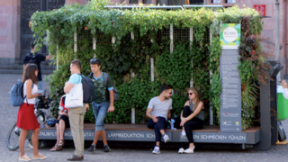 "Grüne Zimmer" stehen in Wiesbaden und spenden Schatten