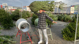 Weihnachtsbaum tragen: Sieben Arten einen Baum zu transportieren
