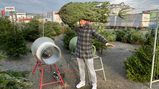 Weihnachtsbaum tragen: Sieben Arten einen Baum zu transportieren