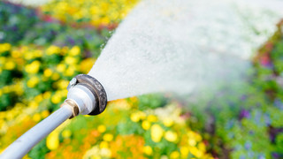 Stadt Kelkheim ruft Trinkwassernotstand aus