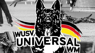 Schäferhund Wettbewerb in Hanau, das erste Mal in Hessen