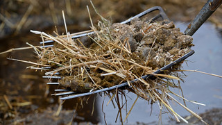 Streit in Speyer: Kontrahent mit Mistgabel verletzt
