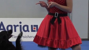 Meisterschaft im Dog Dancing: Wenn Hund und Mensch das Tanzbein schwingen