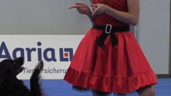 Meisterschaft im Dog Dancing: Wenn Hund und Mensch das Tanzbein schwingen