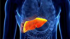 Drei Tipps für eine gesunde Leber lassen sich in jeden Alltag einbauen