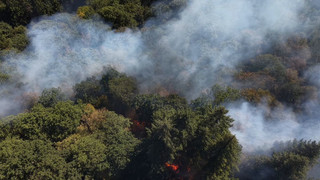 Explodierende Weltkriegsmunition? Waldbrand auf fünf Hektar Fläche bei Bengel