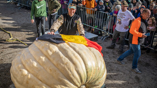 Größter Kürbis Europas wiegt über 1 Tonne: Hesse landet auf Platz zwei