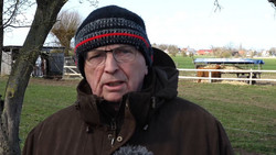 Buckelwal vor Wismar lebt noch – Zustand aber kritisch