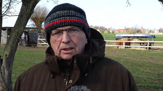 Buckelwal vor Wismar lebt noch – Zustand aber kritisch