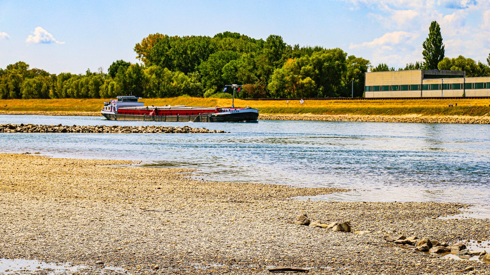 Niedrigwasser am Rhein